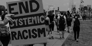 systemic racism, david limbaugh